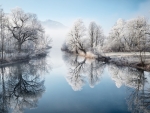 A Misty Winter Morning at River Loisach