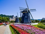 Dutch Windmills in Park