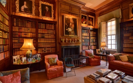 Interior in England - England, fireplace, paintings, books, interior, light