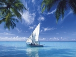 Cool in The Carribean