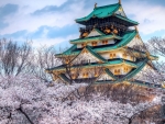 Osaka Castle, Japan