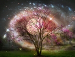 Moonlit Night