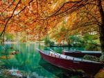Autumn Afternoon