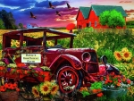 Daisy's Sunflower Farm