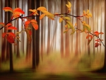 Autumn Forest Dreamscape