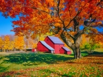 Red barn in fall