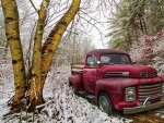 Red truck in snow