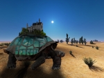 Water Tortoise