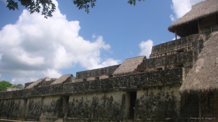 Mayan Ruins 