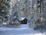Cabin In The Woods