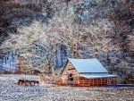 A Beautiful Winter Morning