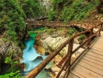 Wooden bridge