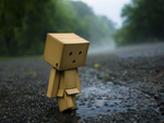 Danbo Alone