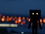 Danbo at Night