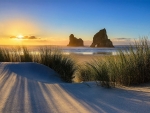 sunset at wharariki beach