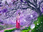 Cherry Blossom Walk