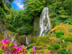 Exotic waterfall