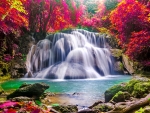 Beautiful forest waterfall