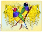 LOVELY BIRDS AND FLOWERS