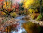 Autumn Stream