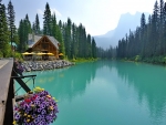 Heavenly View
