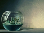 City Into Fishbowl