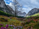 Spring in the Julian Alps, Slovenia