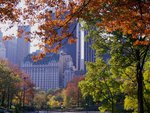 Autumn in Central Park New York