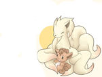 Vulpix and Ninetales