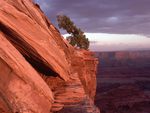 Canyonlands