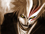 Bleach Ichigo/Hollow