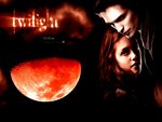 Twilight: the movie