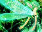 My Green Nature Fairy