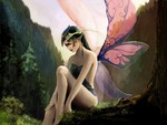 Beautiful Fairy