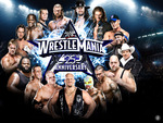 WRESTLEMANIA 25