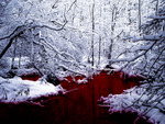 Blood River