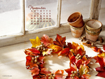 CALENDAR - NOVEMBER 2010