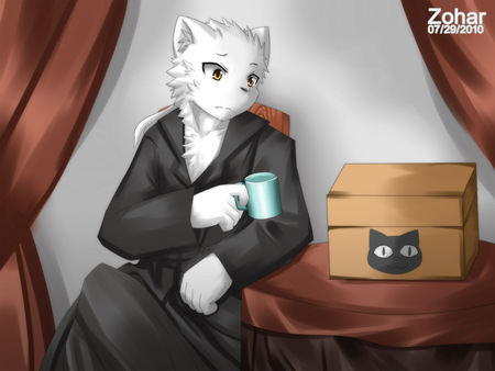 Furry cat - furry, zohar, cool, cat, drink, black, white, chest, zoharwolf