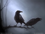 Ravens in the Rain