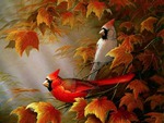 Autumn Cardinals