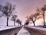 winter road