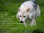 Wolf prayer