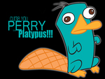 PERRY!!!