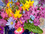 Spring Flowers for our DN World