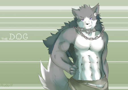 Furry dog - furry, necklace, green, gray, chain, muscle, dog