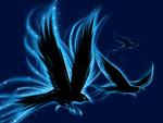 Birds_Blue