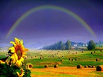 Rainbow Over Haystacks