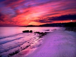 Purple Sunset