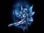 blue fairy