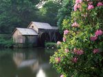 Mabry Mill